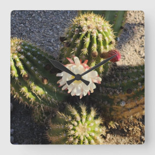 Kaktusblüten Foto Quadratische Wanduhr