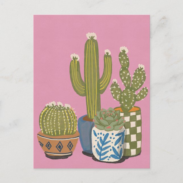 Kaktusblüten Rosa Postkarte (Vorderseite)