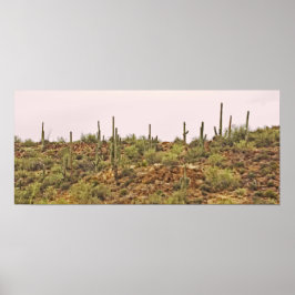 Kaktuslandschaft Arizona Poster