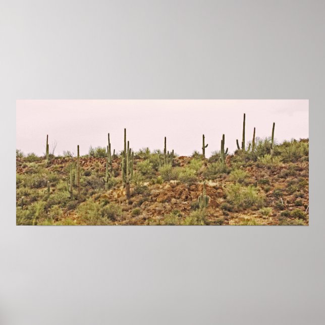 Kaktuslandschaft Arizona Poster (Vorne)
