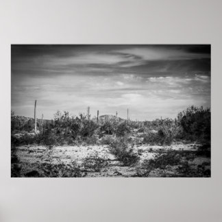 Kaktuslandschaft Poster
