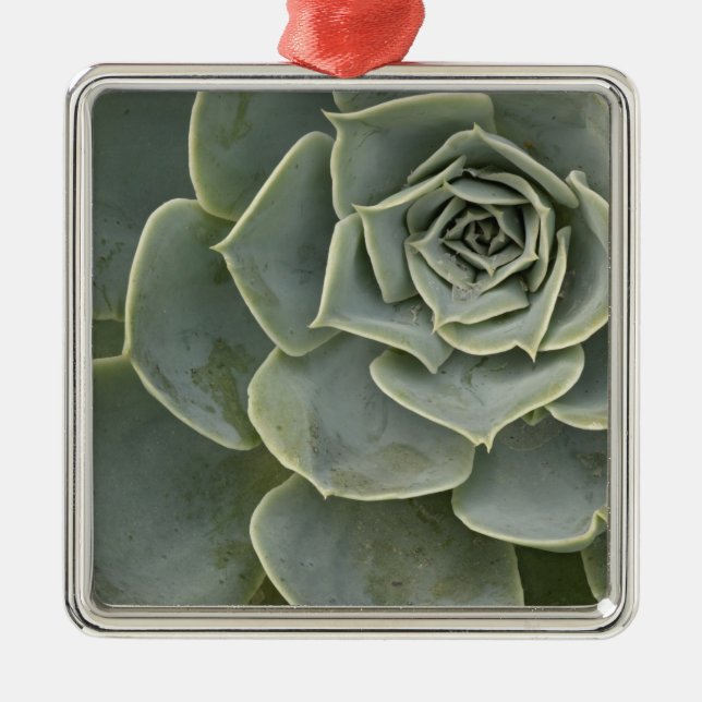 Kaktusmuster Ornament Aus Metall (Vorne)