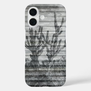 Kaktuspflanzen auf Holzplanken Schwarz-Weiß-Foto iPhone 16 Hülle