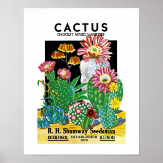 Kaktussamenpackungsetikett Poster