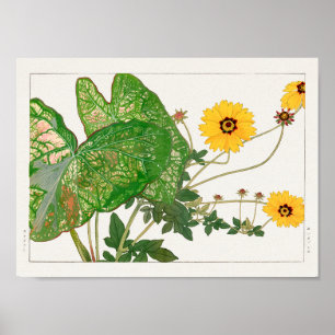 Kaladium mit extravaganter Blätter, Coreopsis von Poster