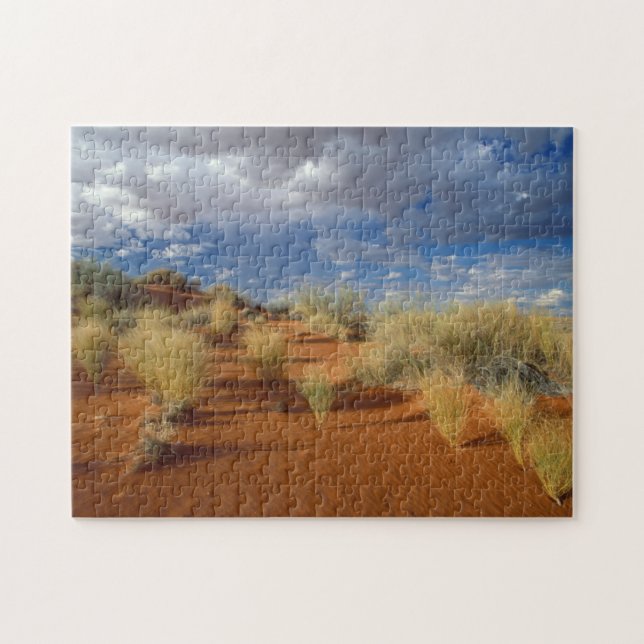 Kalahari Desert Scene, Kgalagadi Transborder 2 (Horizontal)