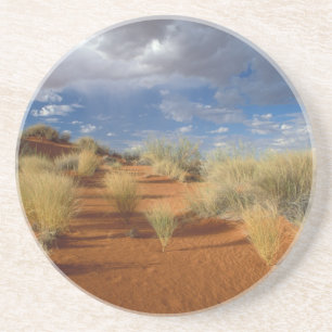 Kalahari Desert Scene, Kgalagadi Transborder 2 Sandstein Untersetzer