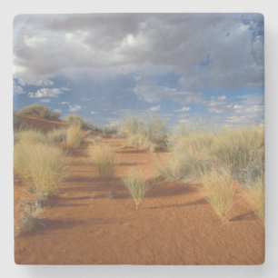 Kalahari Desert Scene, Kgalagadi Transborder 2 Steinuntersetzer