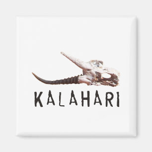 Kalahari-Wüste in Afrika: Toter Antilopenschädel Magnet