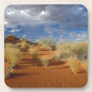 Kalahari-Wüsten-Szene, Kgalagadi Transfrontier 2 Getränkeuntersetzer