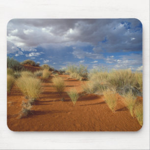Kalahari-Wüsten-Szene, Kgalagadi Transfrontier 2 Mousepad