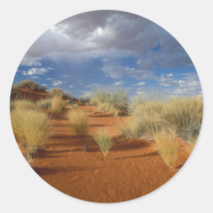 Kalahari-Wüsten-Szene, Kgalagadi Transfrontier 2 Runder Aufkleber