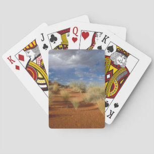 Kalahari-Wüsten-Szene, Kgalagadi Transfrontier 2 Spielkarten