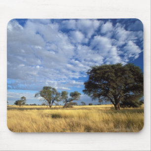 Kalahari-Wüsten-Szene, Kgalagadi-Transfrontier Mousepad