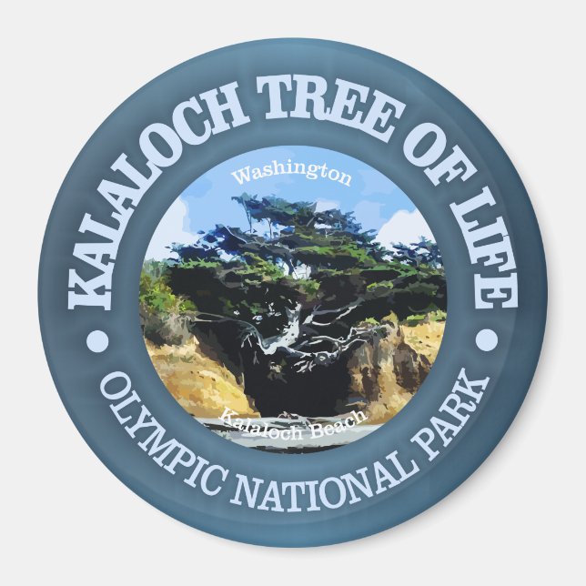 Kalaloch Tree of Life Magnet (Vorne)
