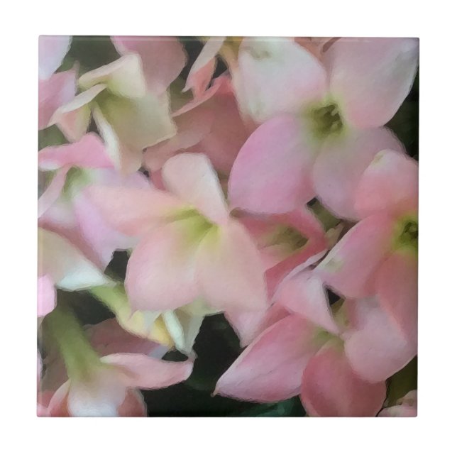 Kalanchoe Blume Fliese (Vorderseite)