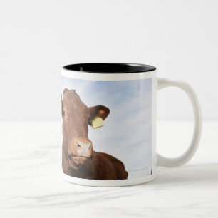 Kalb stehend in der Wiese Zweifarbige Tasse