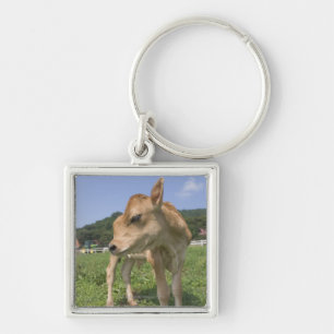 Kalb stehend schlüsselanhänger