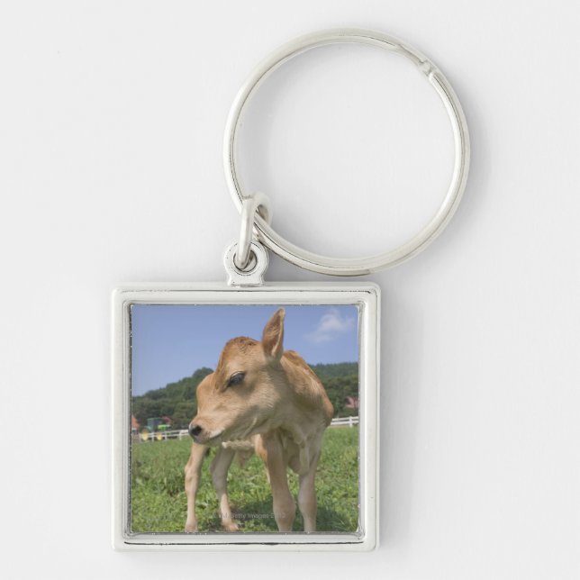 Kalb stehend schlüsselanhänger (Vorne)