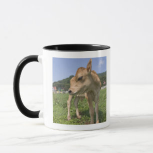Kalb stehend tasse
