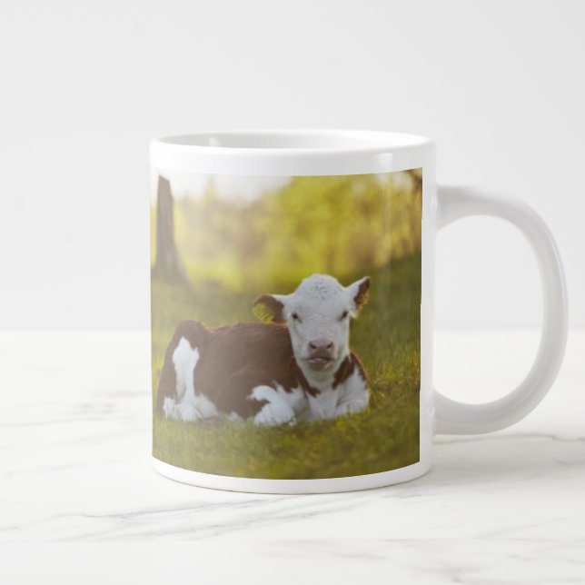 Kalbsruhe Jumbo-Tasse (Rechts)