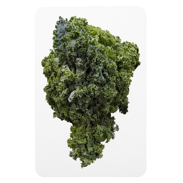 Kale Foto Magnet (Vertikal)