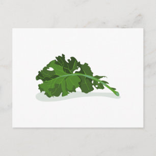 Kale Leaf Postkarte