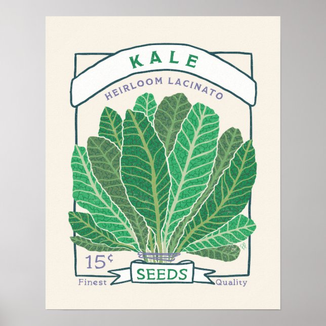 Kale-Samenpackungsplakat  Poster (Vorne)
