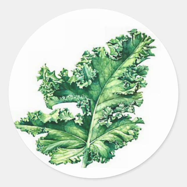 Kale Sticker (Vorderseite)