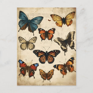 Kaleidoscope à papillon : Carte postale Vintage