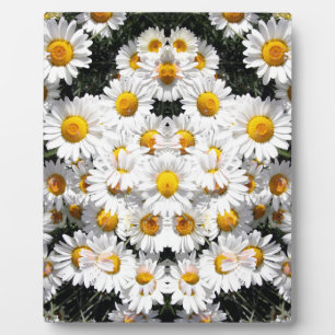 Kaleidoscope Daisies Pattern Fotoplatte