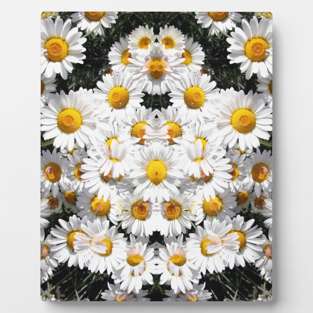 Kaleidoscope Daisies Pattern Fotoplatte (Vorderseite)