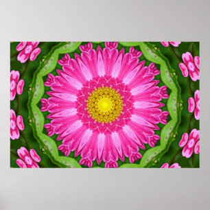 Kaleidoskop Aster Poster