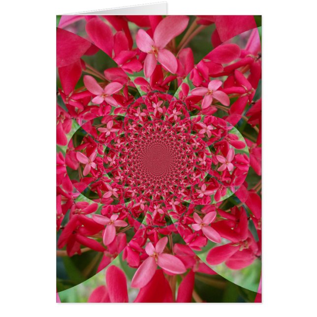 Kaleidoskop der Krimson: Blume der Blutmilch (Vorne)