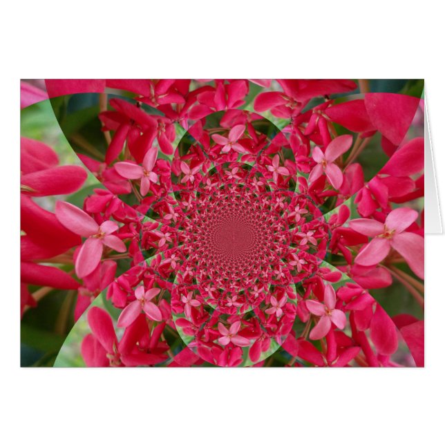 Kaleidoskop der Krimson: Blume der Blutmilch (Vorderseite (Horizontal))