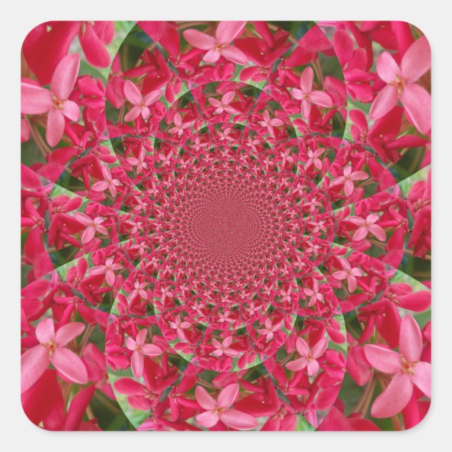 Kaleidoskop der Krimson: Blume der Blutmilch Quadratischer Aufkleber (Vorderseite)