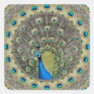 Kaleidoskop-Pfau Quadratischer Aufkleber