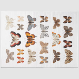 Kaleidoskop von Motten 1 Dekoupage Seidenpapier