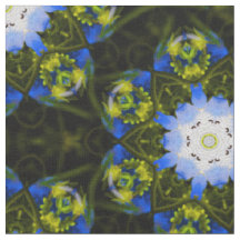 Kaleidoskopische Baby Blue Eyes Spring Flowers