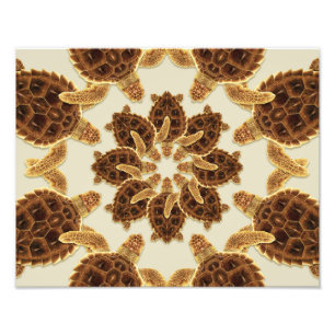 Kaleidoskopische Schildkröte Fotodruck