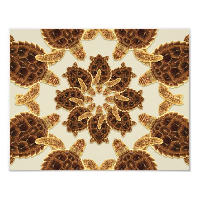 Kaleidoskopische Schildkröte Fotodruck (Vorne)