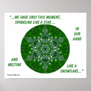 Kaleidoskopische Stern-Schneeflocke Poster.1 Poster
