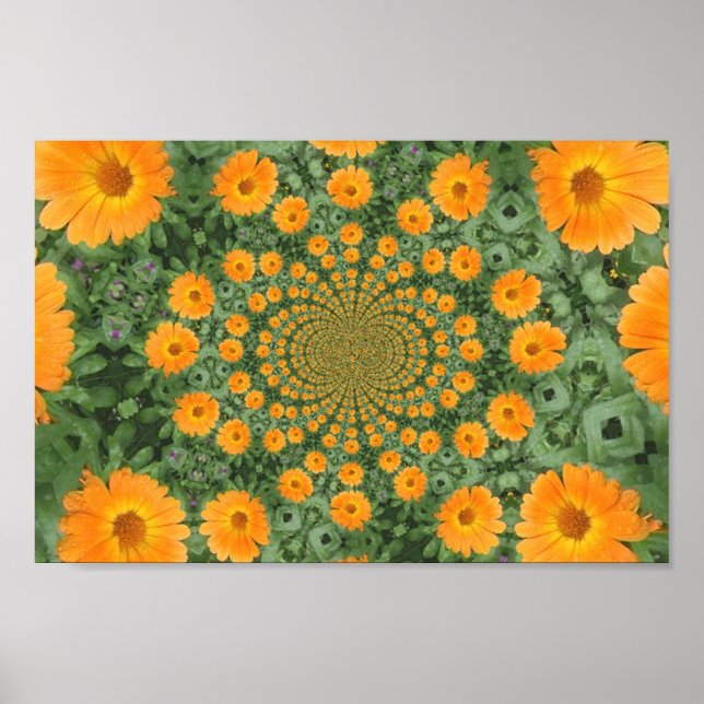 Kaleidoskopisches Blume Poster (Vorne)