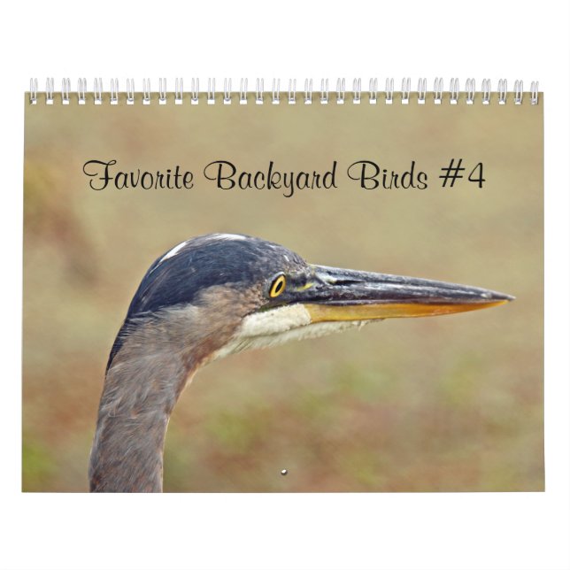 Kalendar Favorite Hinterhofvögel Kalender (Titelbild)