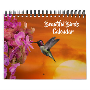 Kalendar mit schönen Vögeln in kleinem Format Kalender