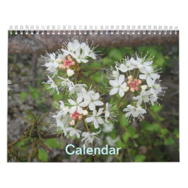 Kalender