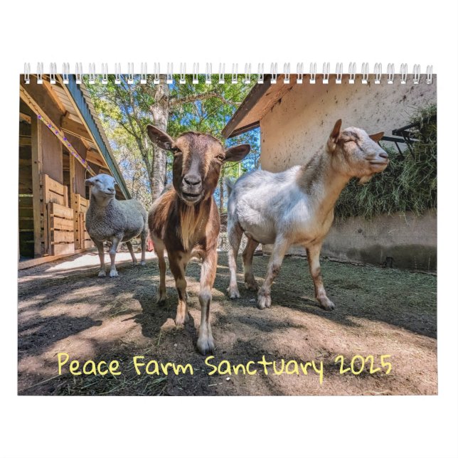 Kalender (Titelbild)