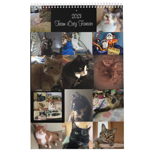 Kalender (Titelbild)