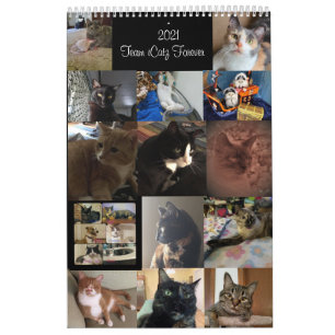 Kalender