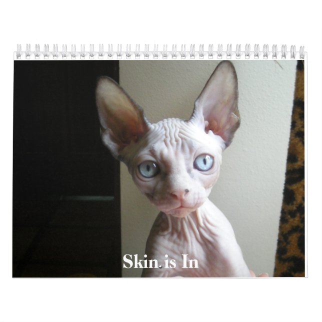 Kalender (Titelbild)